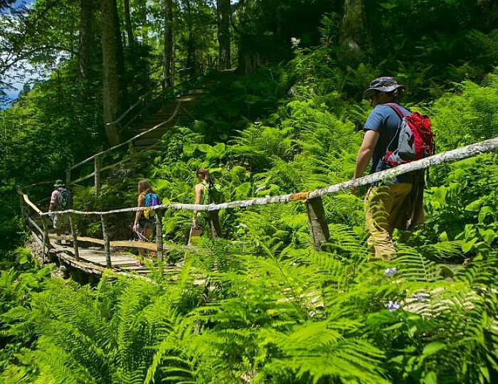 Горные развлечения: лето - Отель «28» Роза Хутор