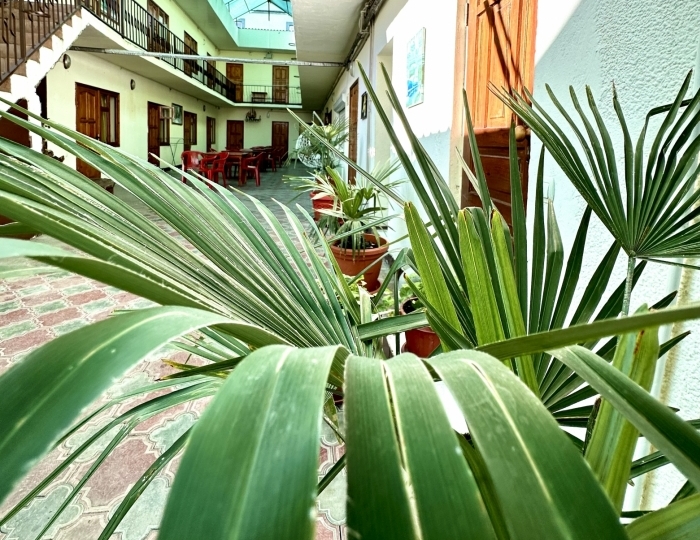 Отель «Пальма» Сочи