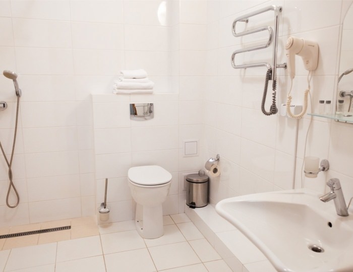 Двухместный номер стандарт для людей с ограниченными возможностями - Отель «Беккер»