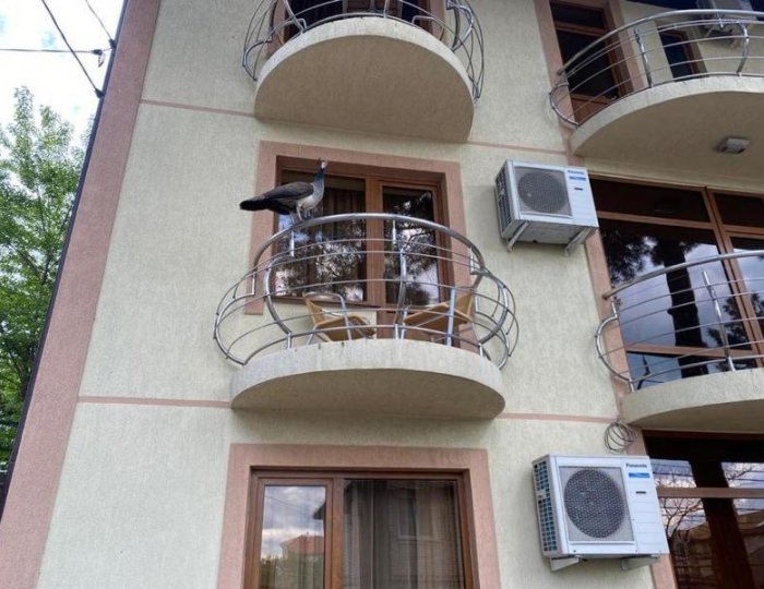 Отель «Золотое руно» Кабардинка