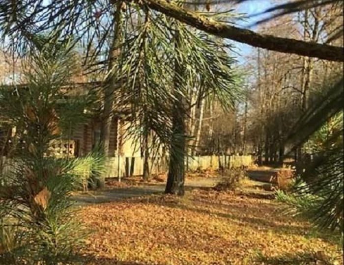 4-местные 3-комнатные апартаменты стандарт - Отель «Архангельская дача» Звенигород