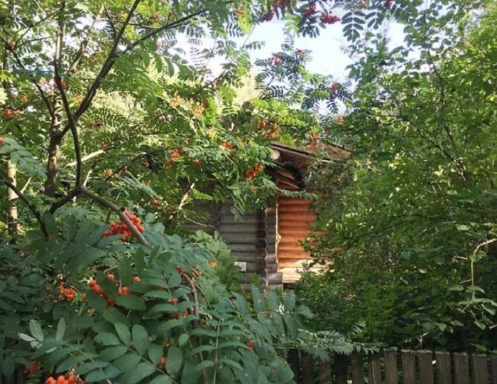 3-местные 3-комнатные апартаменты улучшенные - Отель «Архангельская дача» Звенигород