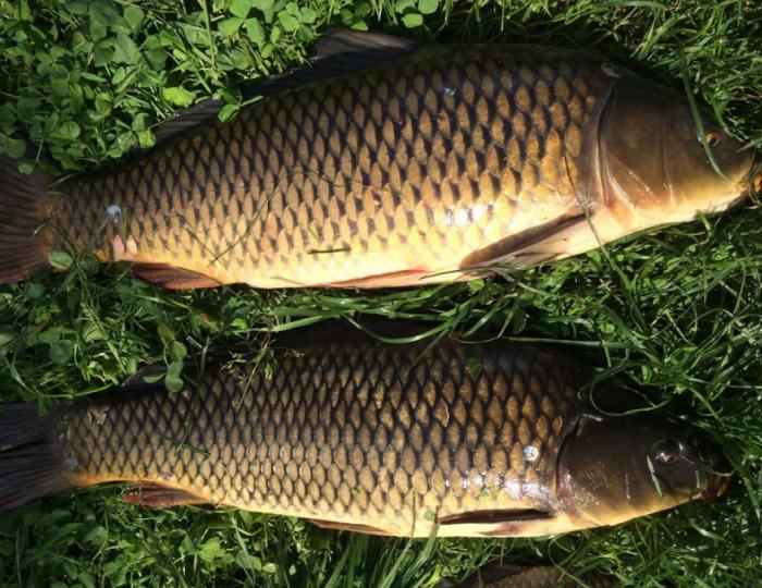 Рыбалка - Парк-отель «Русский» (бывш. «Дракино»)