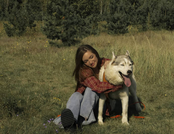 Хаски-парк - Парк-отель «Русский» (бывш. «Дракино»)