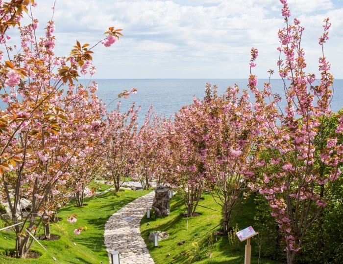 СКК Мрия Резорт & Спа