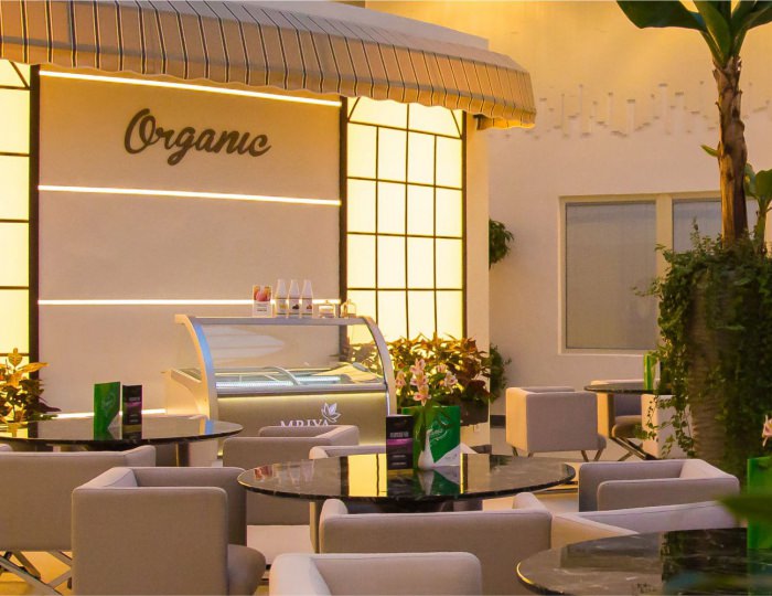Бар Organic Bar - СКК Мрия Резорт & Спа