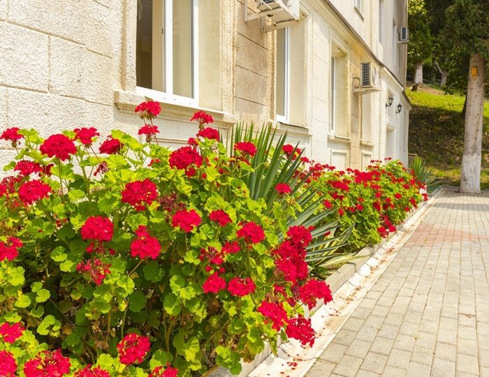 База отдыха «Репруа» Холодная речка