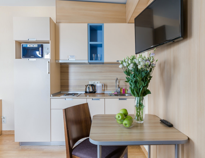 Студия Стандарт 2-местный TWIN 1-комнатный - Отель «Гранд Каньон» Санкт-Петербург