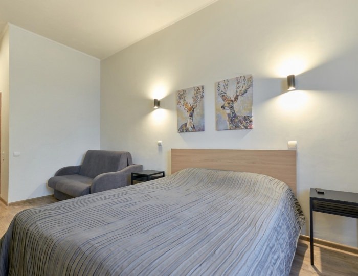 2-местный номер стандарт улучшенный - Гостиница «Эдельвейс» Новоабзаково