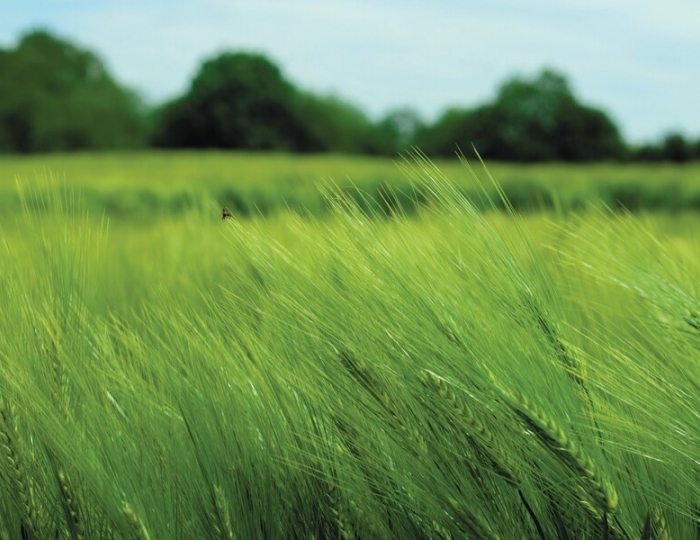 Общетерапевтическая «Здоровое дыхание» - Клинический санаторий «Металлург» Сочи