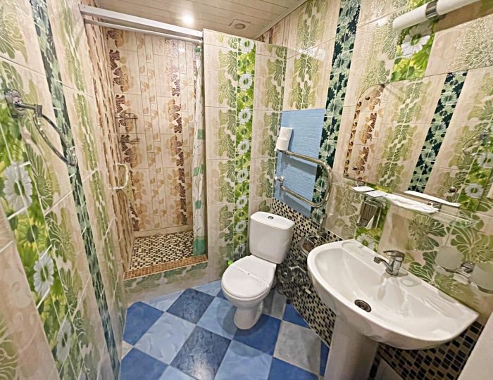 Номер стандарт с 1 двуспальной кроватью - Гостиница «Музеон»