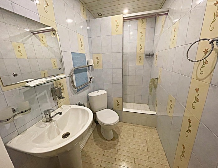 Номер стандарт с 1 двуспальной кроватью - Гостиница «Музеон»