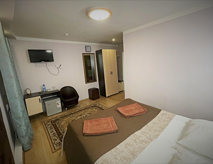 Номер стандарт с 1 двуспальной кроватью - Гостиница «Музеон»