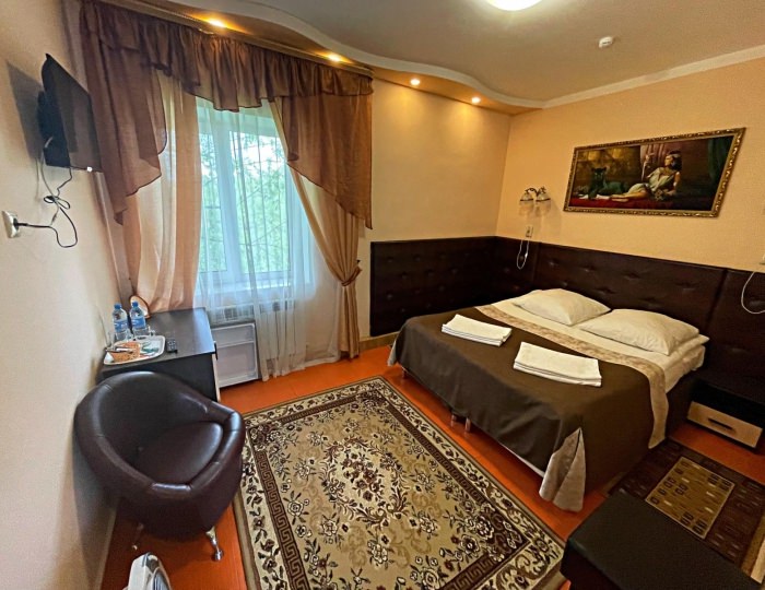Номер стандарт с 1 двуспальной кроватью - Гостиница «Музеон»