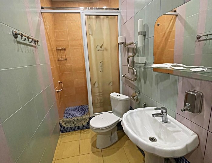 Номер стандарт с 1 двуспальной кроватью - Гостиница «Музеон»