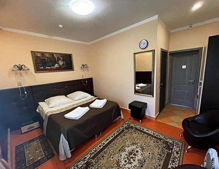 Номер стандарт с 1 двуспальной кроватью - Гостиница «Музеон»