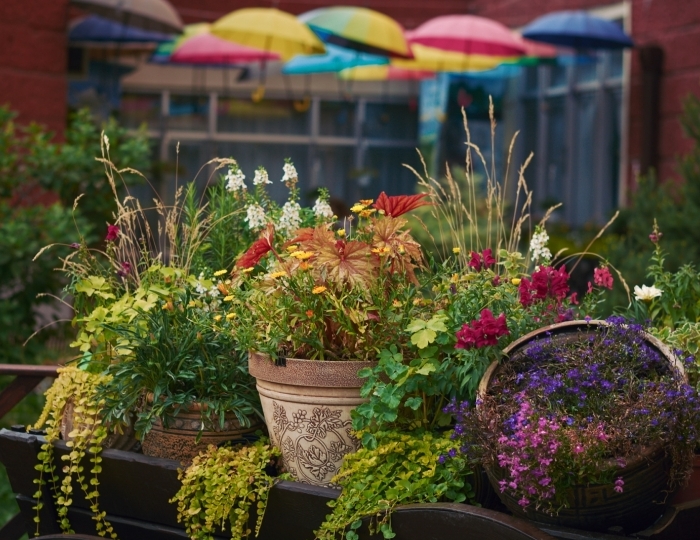 Санаторий «Виктория» Кисловодск