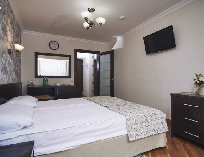 Стандарт 1-комнатный 1-местный - Санаторий «Виктория» Кисловодск