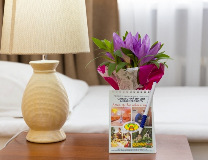 2 категория 2-местный 2 категория 1-комнатный корп.3 (2к2м1к3) - Санаторий «им. Анджиевского» Ессентуки