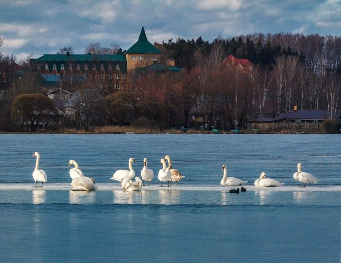 Гостиница «Валдайский парк» Валдай