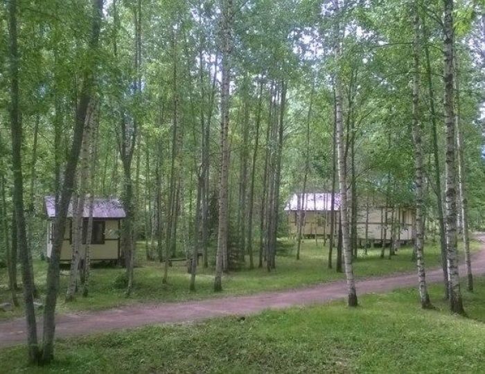 База отдыха «Великое Озеро» Симаниха