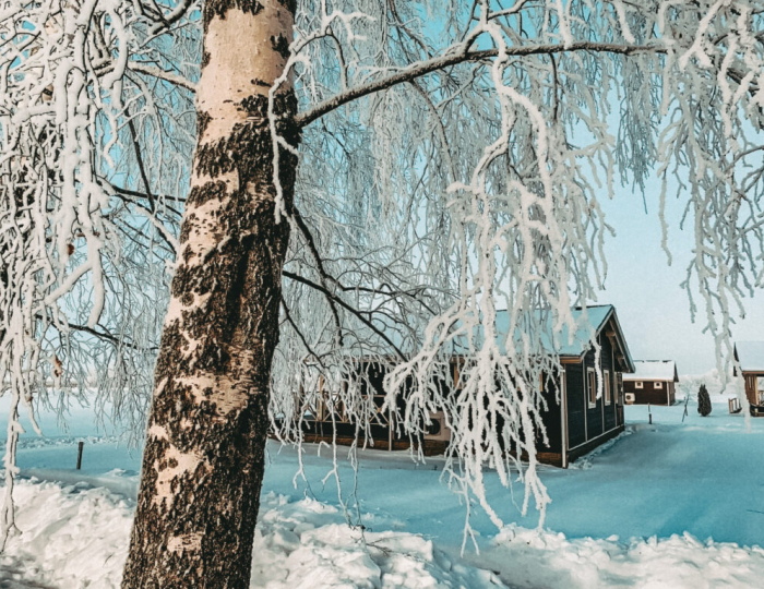 Глэмпинг Vazuza Love / Вазуза Лав Лебедки