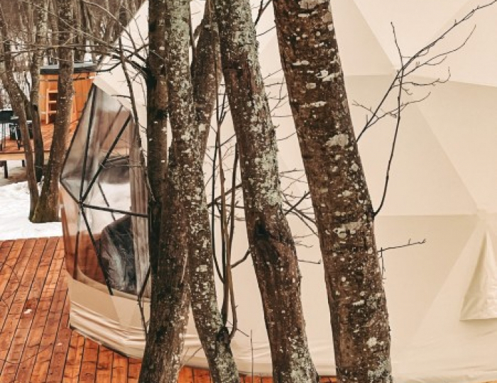 Люкс геокупол 4-местный Стоунхендж - Глэмпинг Vazuza Love / Вазуза Лав Лебедки