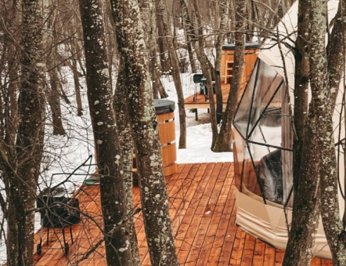 Люкс геокупол 4-местный Стоунхендж - Глэмпинг Vazuza Love / Вазуза Лав Лебедки