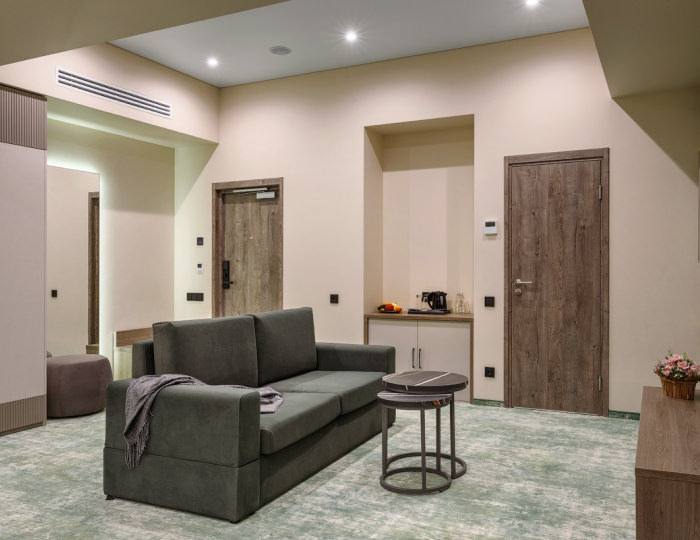 Люкс ЛЮКС ОДНОКОМНАТНЫЙ - Санаторий «Дон» Воронеж