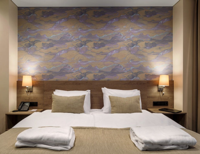 Стандарт СТАНДАРТ С ДВУСПАЛЬНОЙ КРОВАТЬЮ - Санаторий «Дон» Воронеж