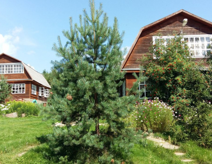 База отдыха «Рыбацкая деревня» Заречье