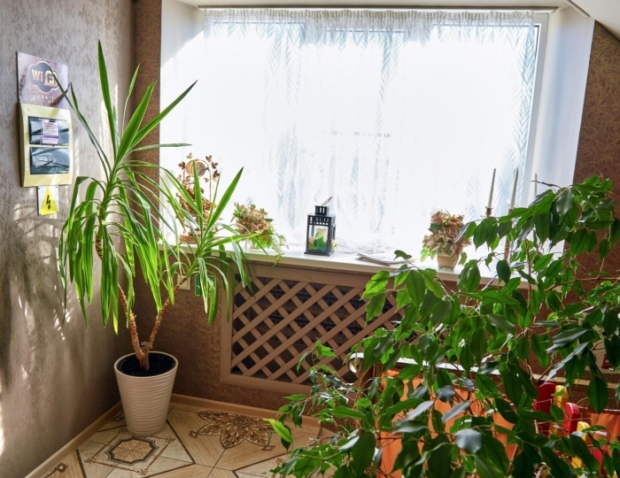 Мини-отель «Дон» Павловская