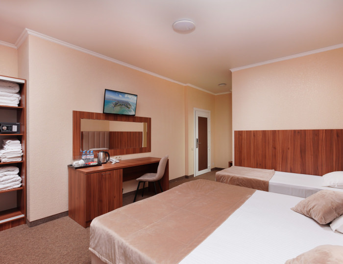 Делюкс 2-м с 2-мя доп.местами Бетон - Курортный отель «Славянка» Анапа