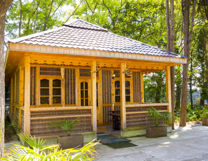 Отель Wellness Park Hotel Gagra / Велнес Парк Отель Гагра