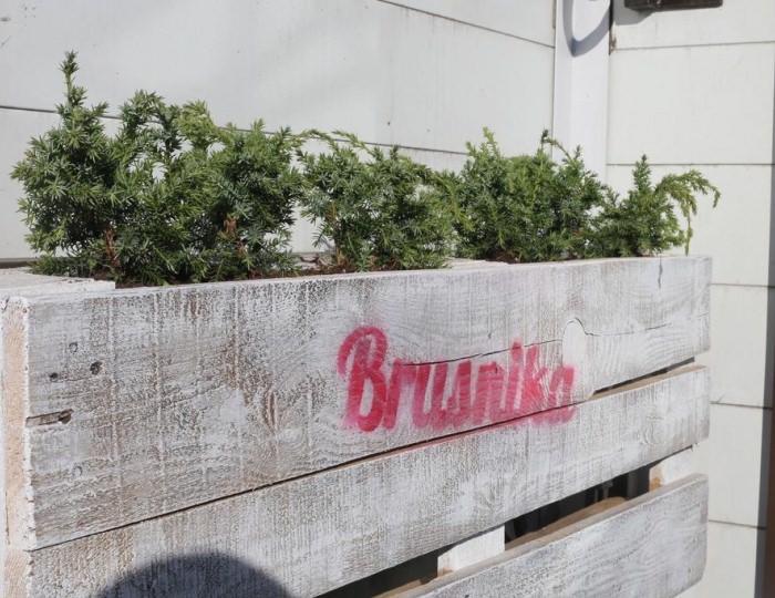 Хостел Brusnika / Брусника