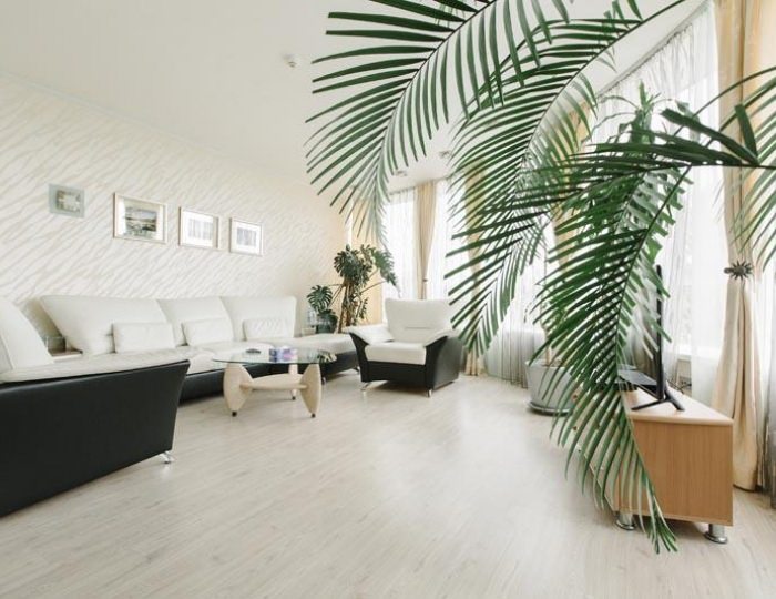 Президентский корп. Спутник-Камчатка - Гостиница «Спутник, Бел-Кам-Тур»