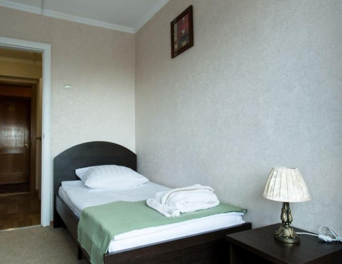Номер стандарт с 1 односпальной кроватью (с завтраком) - Гостиница «Гейзер»