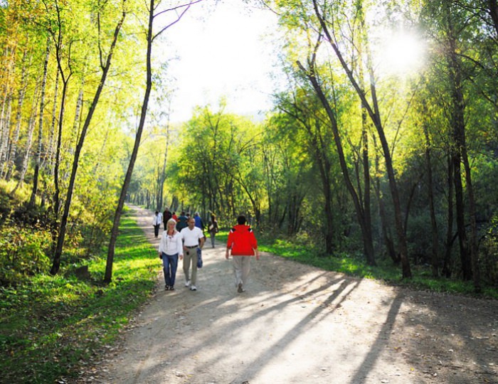 Терренкур - Санаторий «Целебный ключ»