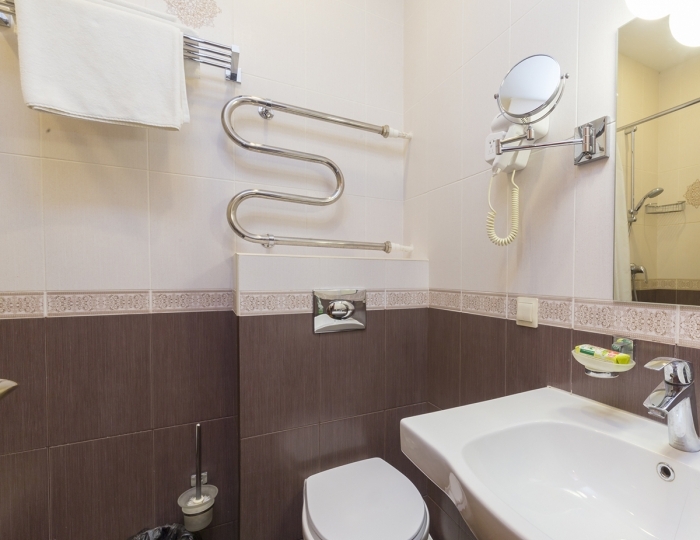 Двухместный 1 кат. 1 тип - Санаторий «Целебный ключ»