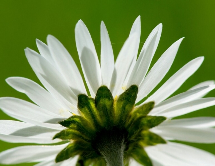 Оздоровительная - Санаторий «Здоровье» Железноводск