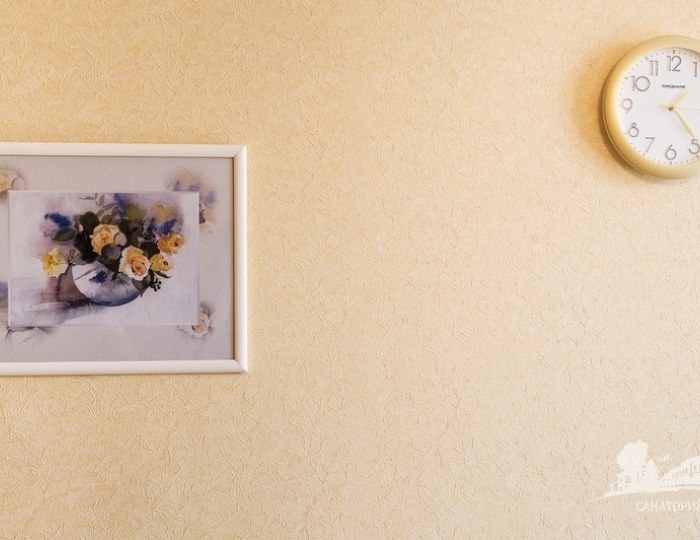 Сингл (корп. 2) - Санаторий «Магистральный» Барановичи