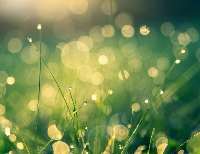 Оздоровительная - Санаторий «им. С.М. Кирова» Кисловодск