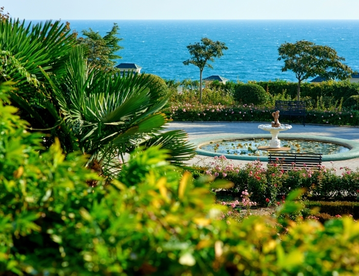 Курортный отель «Palmira Palace»