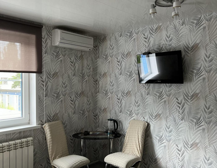 Номер стандарт с 1 двуспальной кроватью - Мини-отель «Швеция» Воронеж