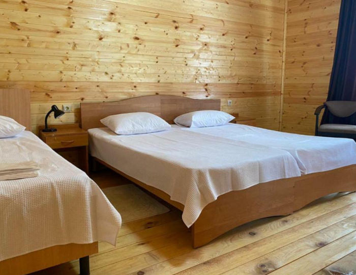 2-местное станд. - Отель «Звандрипш Эко Village» Хыпста