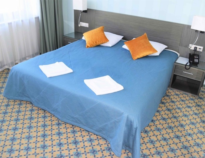 Стандарт - двухместный номер - Загородный отель Zavidovo Resort / Завидово