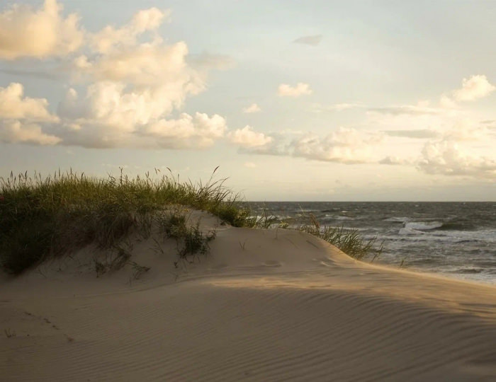 Глэмпинг Glam Point / Глэм Поинт Синявино
