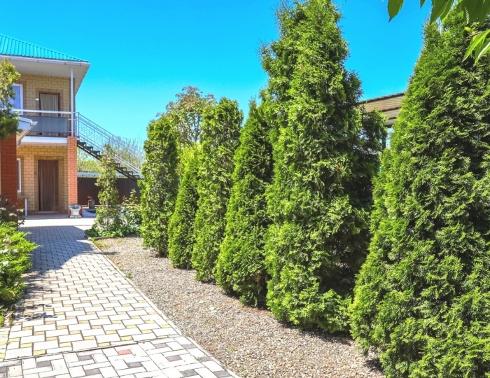 База отдыха «Лаврио» Кучугуры