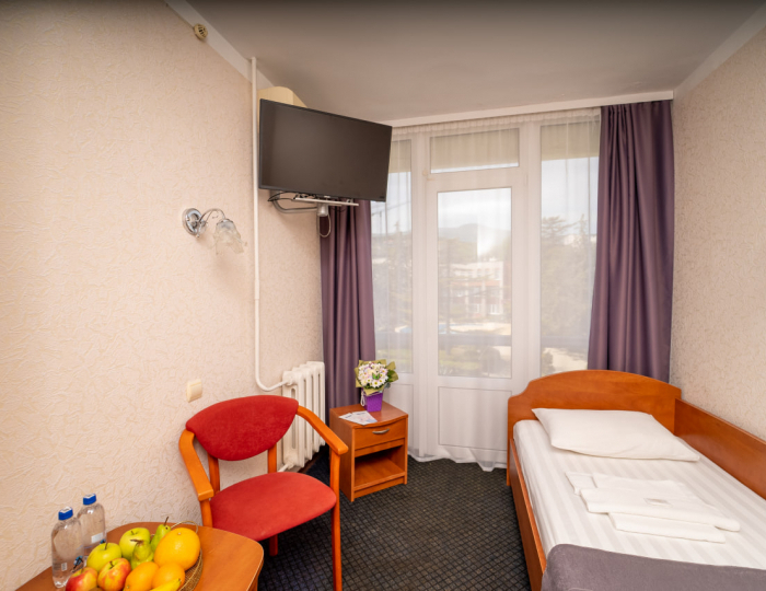 Стандарт 1-местный 1-комнатный - «Славутич» (корпус Восход) санаторий
