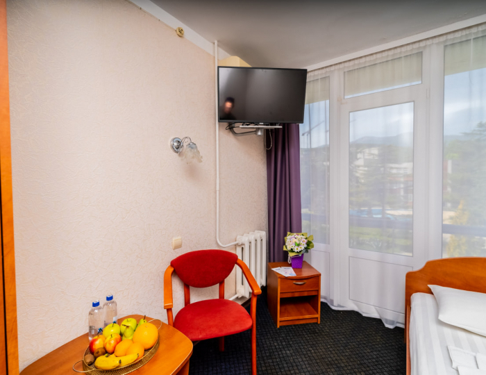 Стандарт 1-местный 1-комнатный - «Славутич» (корпус Восход) санаторий